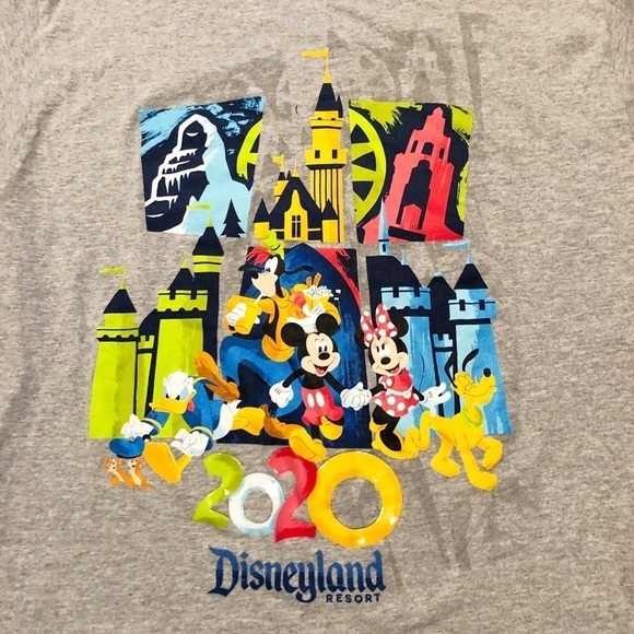 Disneyland Resort 2020 gray short sleeve crew neck t-shirt. Size Women's Large - Picture 3 of 6